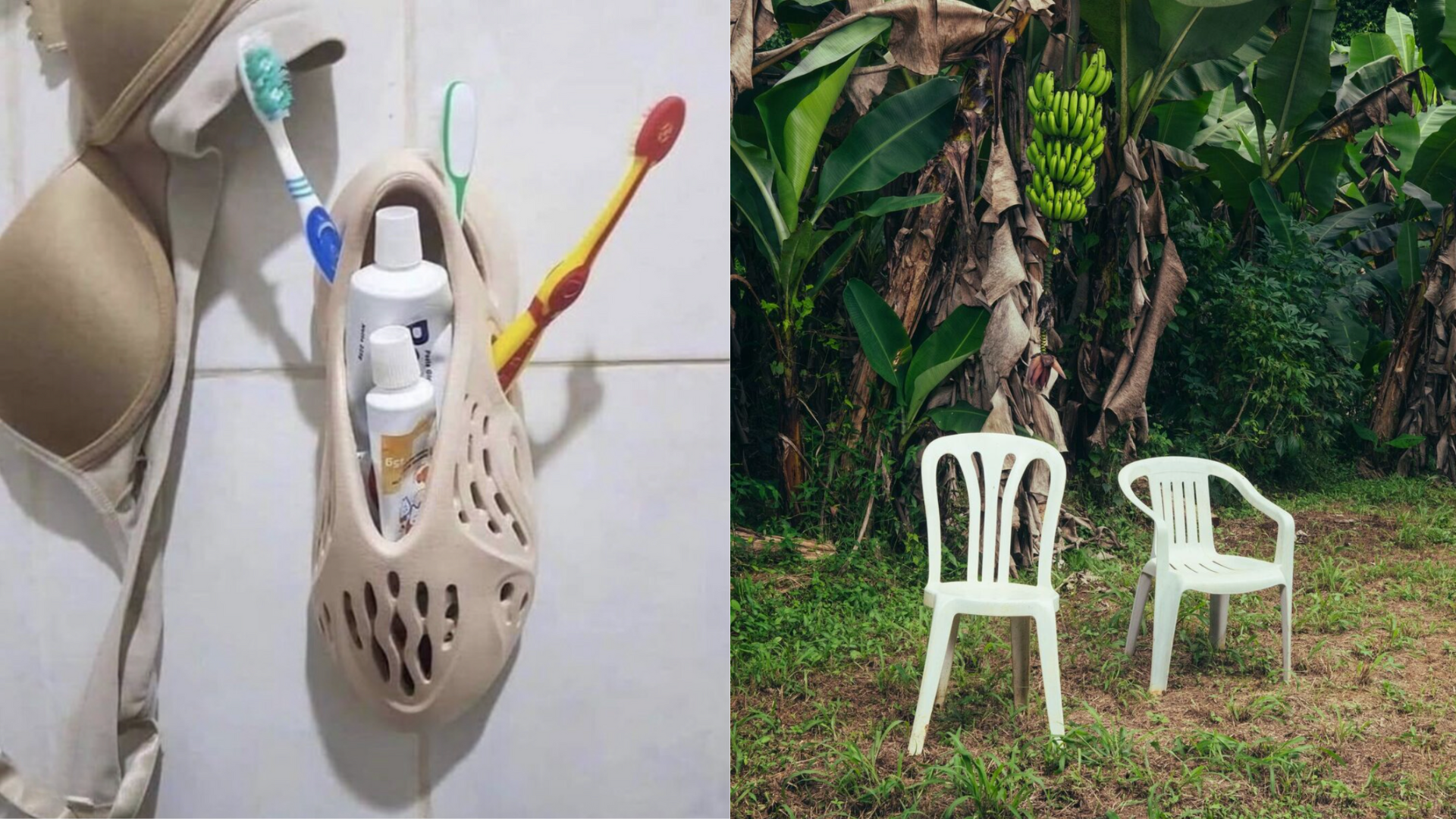 The Viral Aesthetics of Poverty