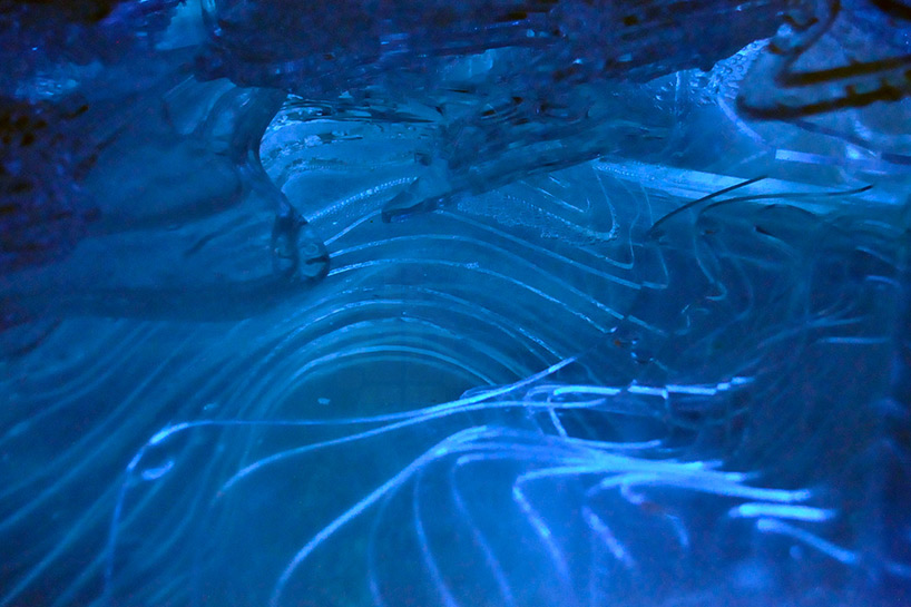 Algae glow blue in a bio-digital ecosystem