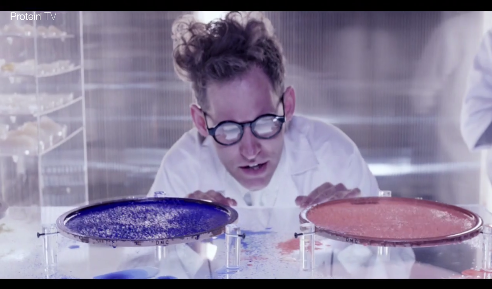 Protein TV: Dream A Little Crazy